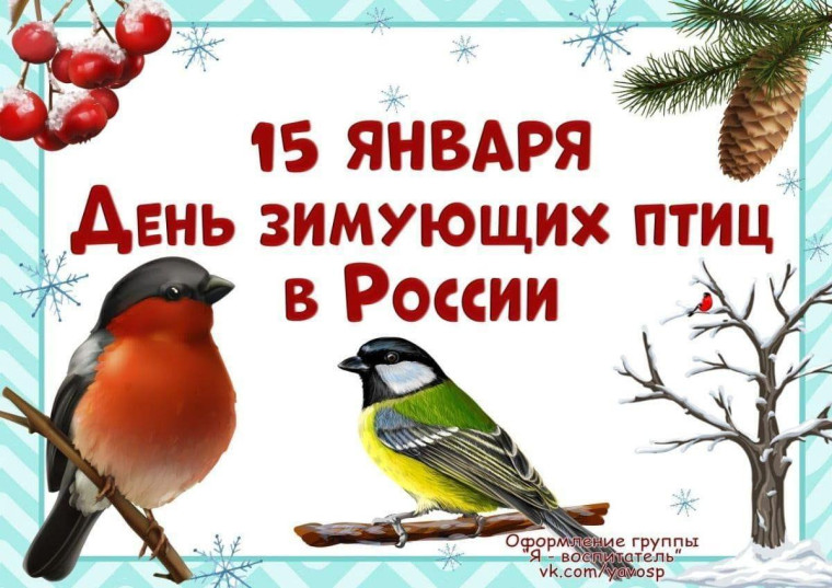 День зимующих птиц в Росиии.